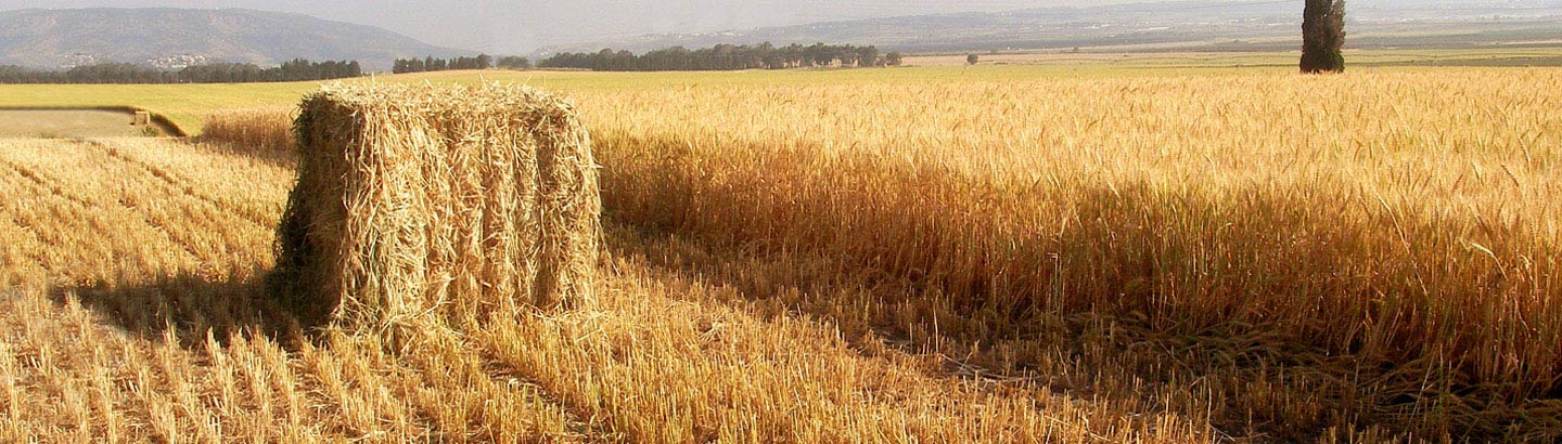 TamaTwine<sup>™</sup> for Small Square and Round Bales