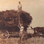 Hay Wagon