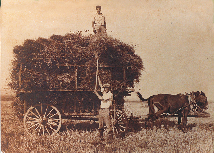 Hay Wagon